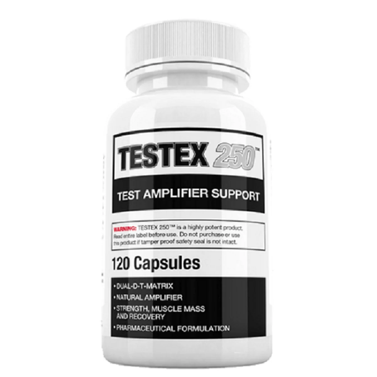 testex 250 amplifier support testex 250 amplifier support