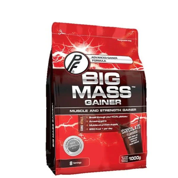 Big Mass Gainer, 1000 g-Proteinfabrikken