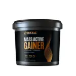 Self Mass Active Gainer, 4kg